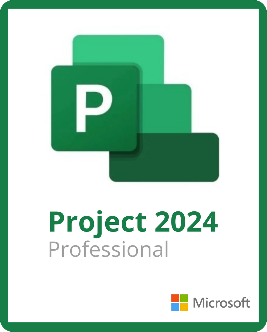 Microsoft Project Professional 2024