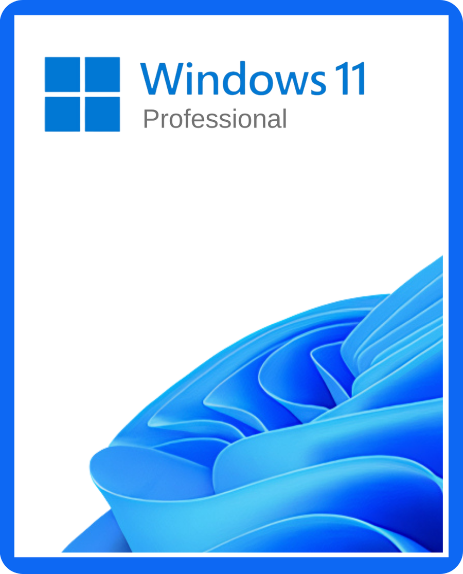 Microsoft Windows 11 Professional