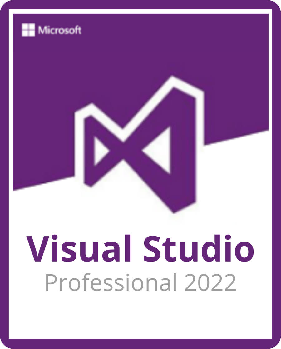 Microsoft Visual Studio Professional 2022